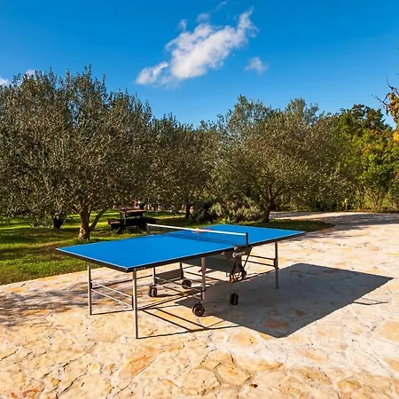 Fra & Mar Daire Sorici